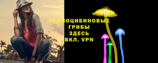 mdpv Лагань