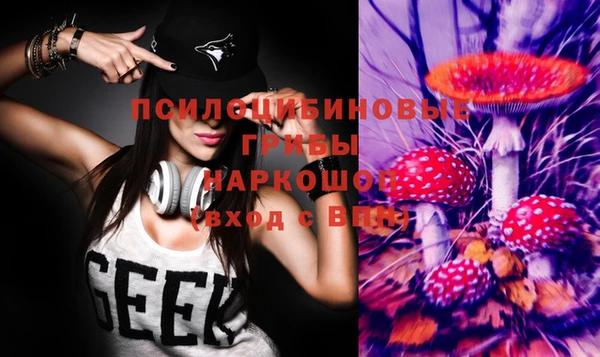 амф Лабытнанги