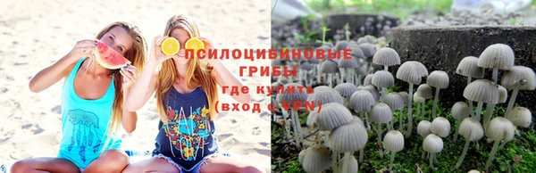 mdpv Лагань